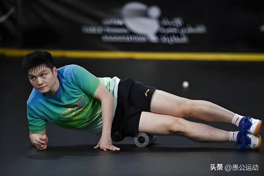 包含惊喜不断！篮球明星樊振东强势回归赛场的词条